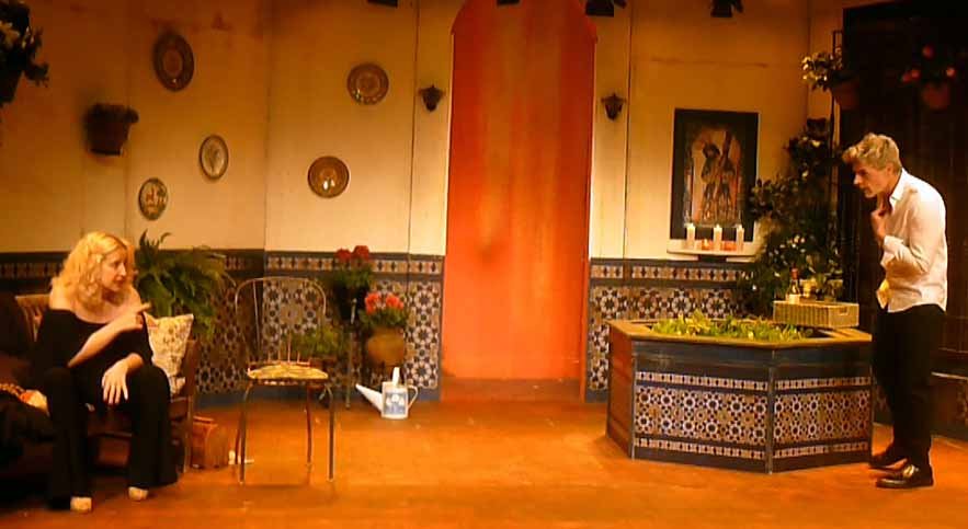caparazón tortugas 56 b