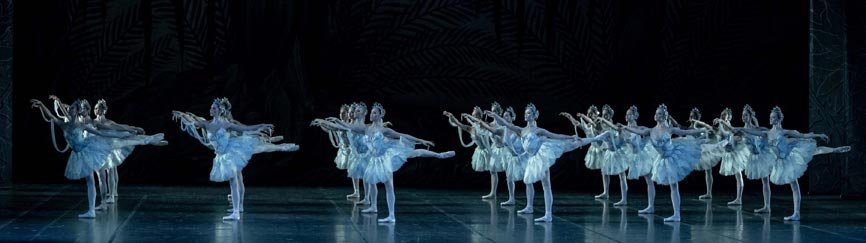 Jack Devant La Bayadere HR 