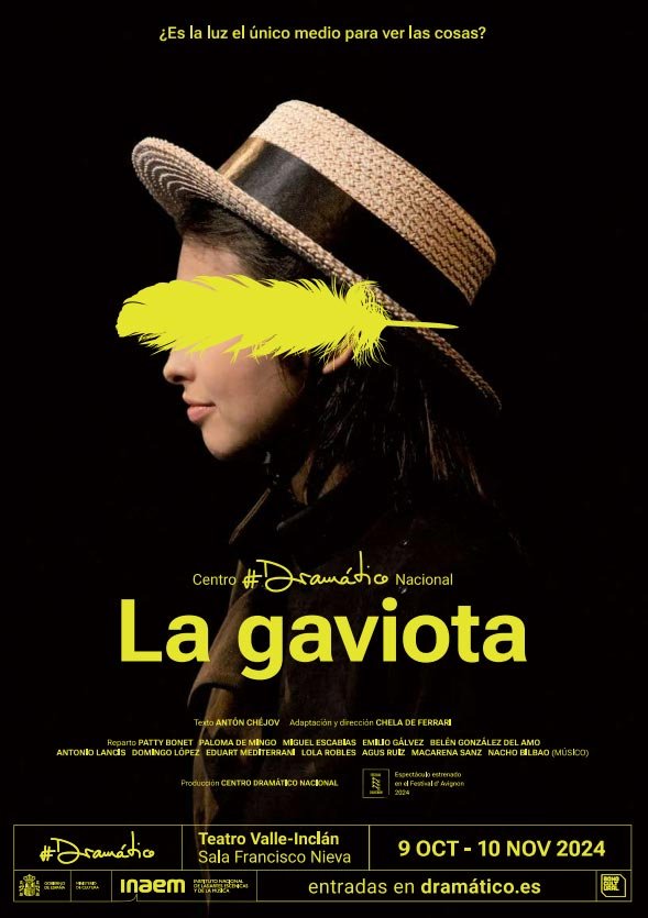 gaviota cartel b
